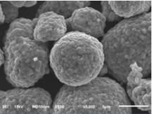 SN2L The Best Choice Cathode Materials For Batteries With Long Cycle Life