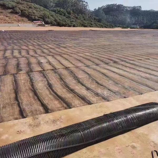 鉄道基地の安定化のための単軸PPポリプロピレンプラスチックジオグリッド