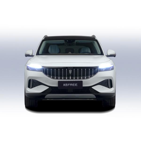 2023 Luxury New Energy Pure Electric Car 4Wd  Long Range Nedc 505Km Voyah Free 0km used car Electric Car