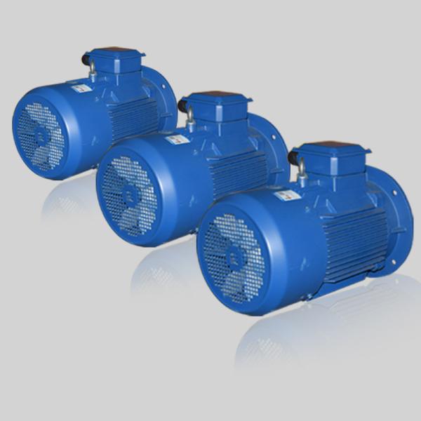 エネルギー 発電機 ブラシレス DC モーター 低速風力タービン 発電機 22kw