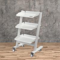 Simple Durable Dental Mobile Cart Stainless Steel Dental Trolley Beauty Salon Use 3 Layers Dental Cart