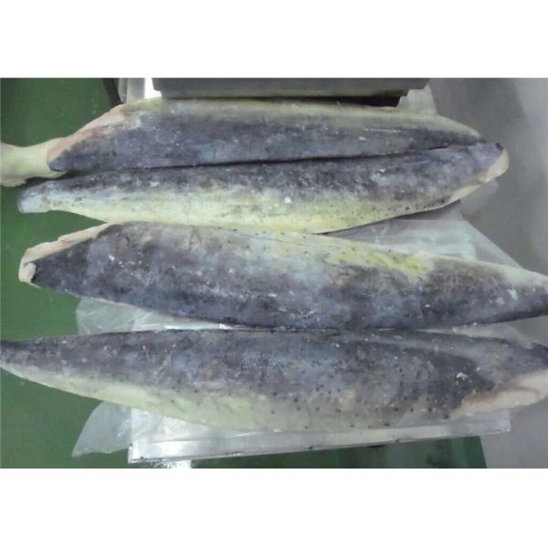 Свежие филе Тихого океана 500g замороженные Mahi Mahi