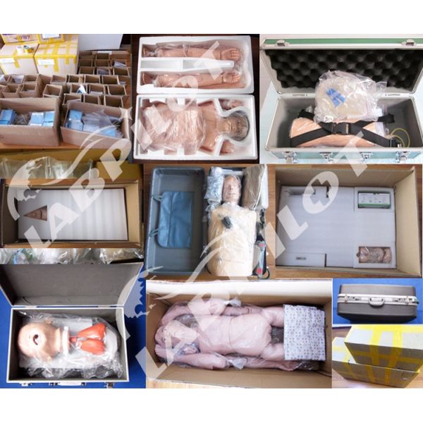 Realistic Human Simulation Manikin Ankle Joint Injection Training Model with Control Box