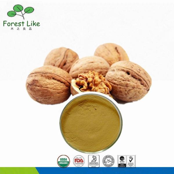 Factory Supply Hair Care Product Pure Walnut Extract 5:1 - 20:1
