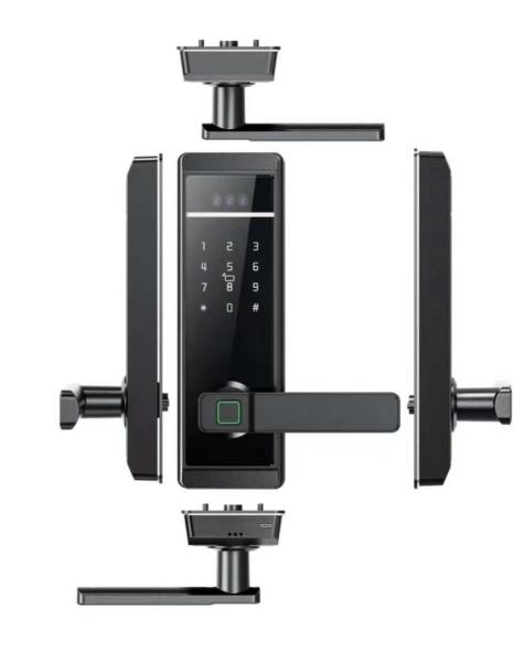 Qleung Tuya 顔認識 パームプリント 指紋 パスワード カードキー アンロック スマートホーム ドアロック