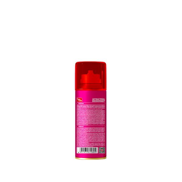 Non Toxic Portable Car Odor Eliminator Car Freshener Spray For Indoor Environments
