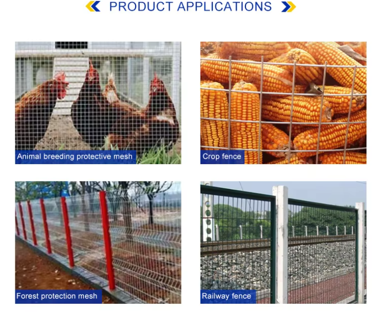Corrosion Proof Stainless Steel Welded Wire Mesh Panels with 75 × 50mm Mesh Size for Coastal Fencing
