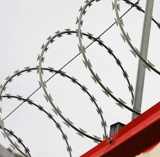 Hot Dipped Security Fencing Concertina Razor Wire Galvanized Pvc Bto 22