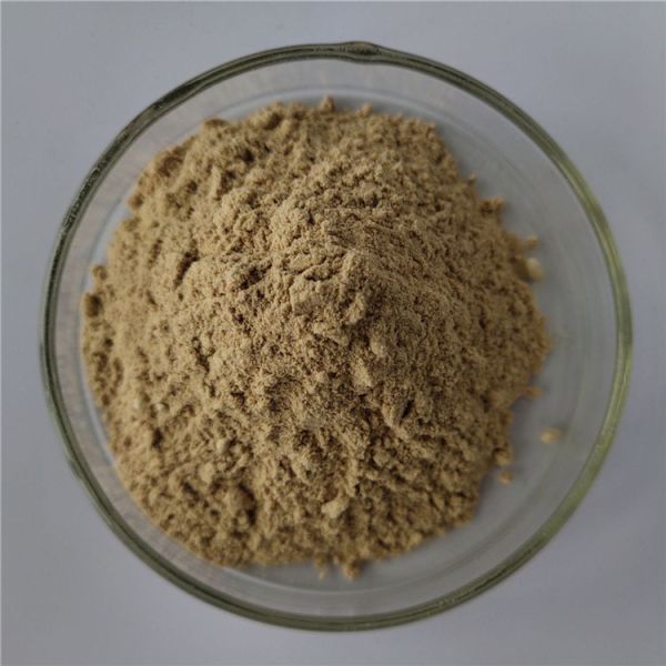 wholesale chaga mushroom extract/chaga extract in bulk