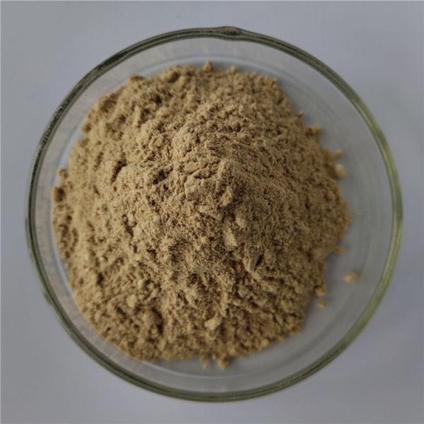 Pharmaceutical Grade White Mustard Extract In Bulk