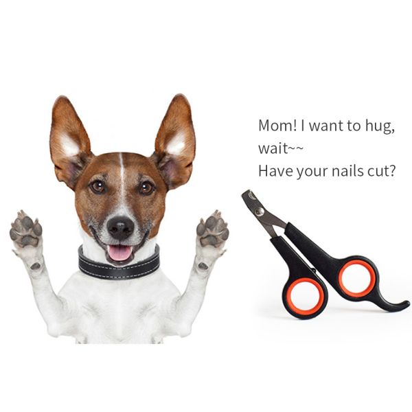 Chiens de compagnie Cats Coupe-ongles en acier inoxydable Coupe-ongles de toilettage Ciseaux Chiens de chiens chats