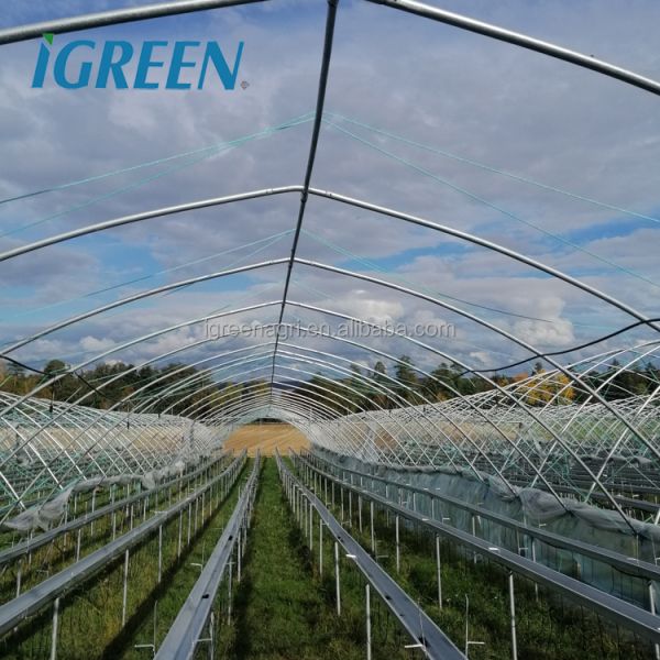 Vertical Strawberry Growing Trough with Galvanized Steel Plate and Drip Irrigation System for Customizable Hydroponic Cultivation