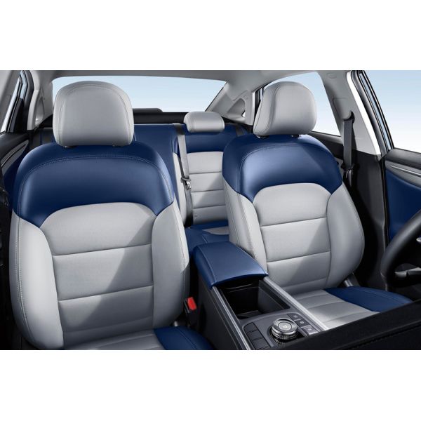 2024 Hot sales EV Electric Vehicle Maple Leaf 60s PRO Pure electric