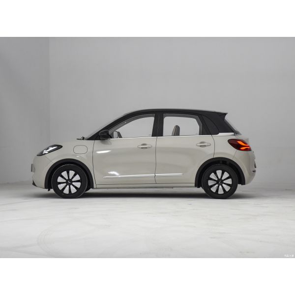 2023 Wuling Bingo Mini EV CLTC 333km Five-Door Four-Seat Energy Small Pure Electric Car
