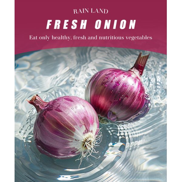 Wholesale Organic 5-8 cm Fresh Red Onion High Demand Agricultural Product with Best Price