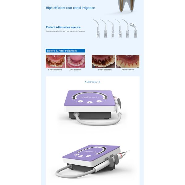 Зубоврачебная пересчетка пересчетки 5bar СИД 240VAC ультразвуковая портативная ультразвуковая