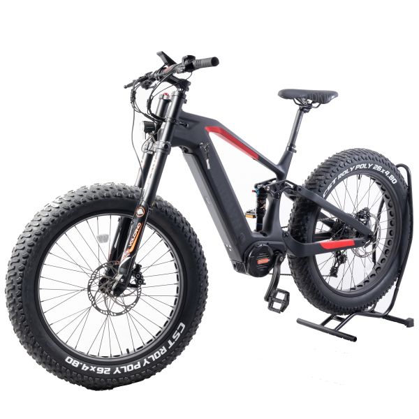 48V 1000W Mid Drive Motor Electric Bicycle with Carbon Fiber Frame and Bafang Motor