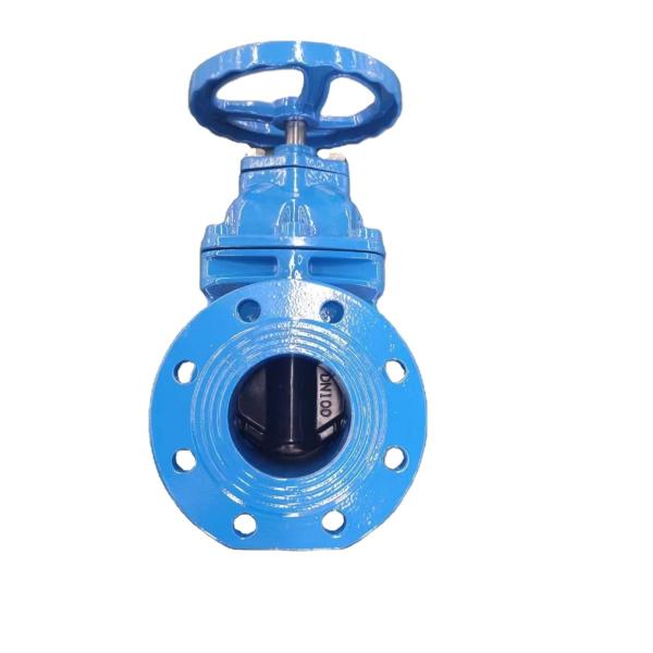 API 6D Ductile Iron Gate Valve Blue Paint Designed To API 600 Standard