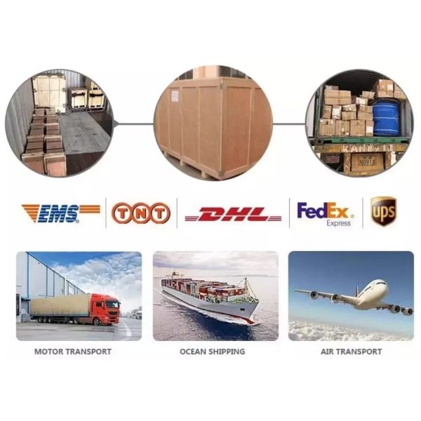 Sinotruk HOWO запасные части 24V двойной грузовик воздушный рог с механизмом обмена энергией