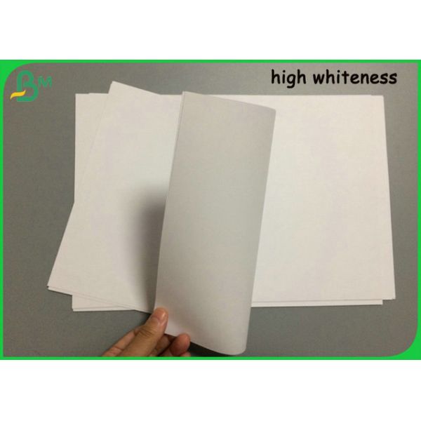 Eco - rollo de papel amistoso 140gram de la impresión en offset para la bolsa de papel