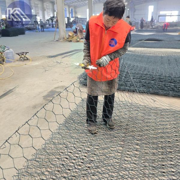 Paroi de panier en gabion hexagonal en gabion galvanisé revêtu en PVC pour la conservation de l'eau et les projets écologiques