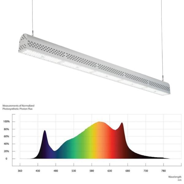 ETL IP67 300W Top Led Herb Grow Light , LED Grow Lamps For Indoor Plants