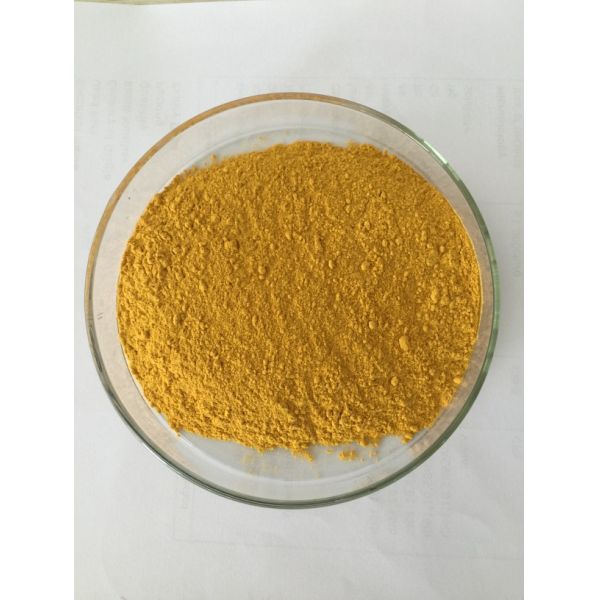 Top Quality Water Soluble pumpkin flour powder
