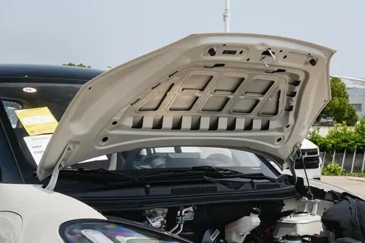 Véhicules à énergie nouvelle d'occasion Wuling Bingo Couleur de café léger 333KM Modèle