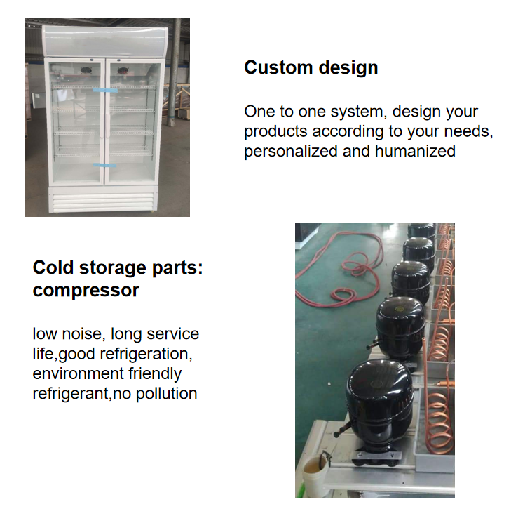 An Economical Refrigerated Freezer Display Cabinet Direct Cooling High-Capacity