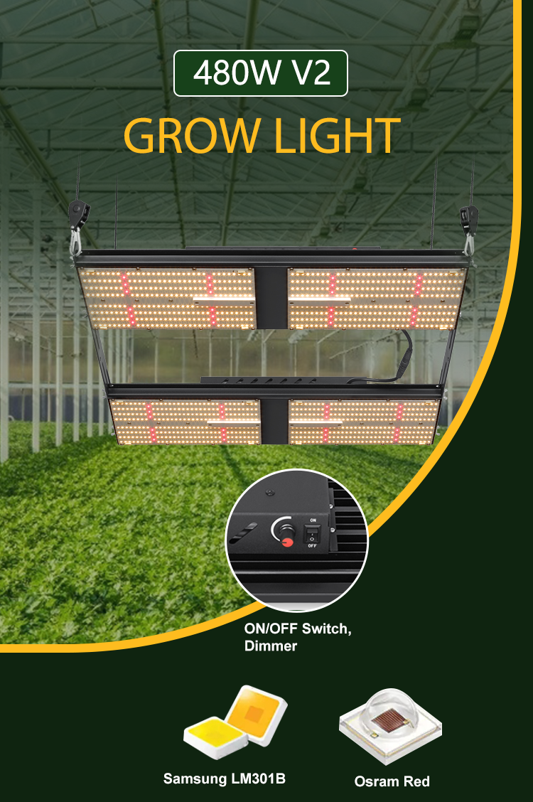 СИД 480w Osslon красное 660nm Samsung LM301B растет светлый приведенный спектр Dimmable полный
