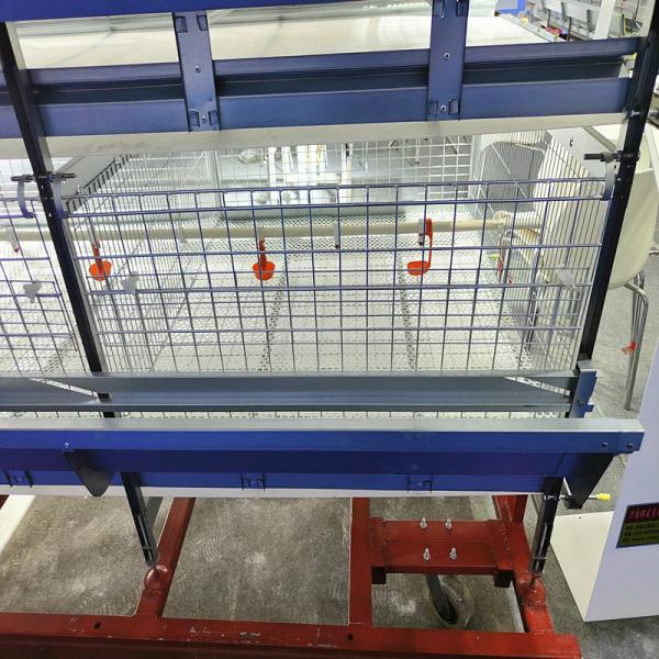 H Quadro Bateria Broiler Caixa de Frango Galvanizado Quente Rede de Arame de Aço