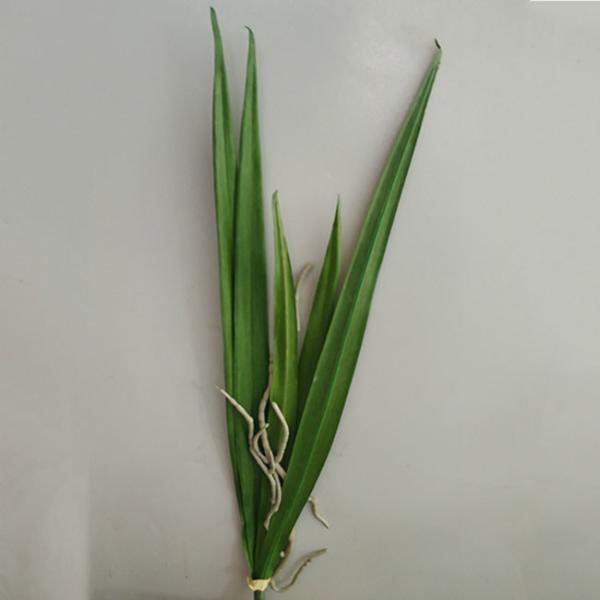 A suspensão artificial amigável de Eco da simulação alta planta a decoração interna das folhas
