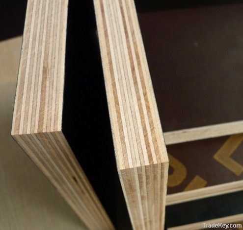  constrution plywood with combi core