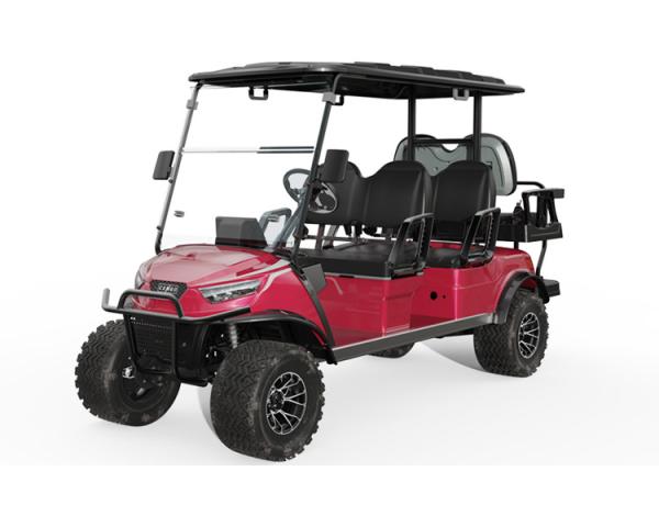 Street Legal Golf Cart NL-JA4 2.G Electric Buggy for Sightseeing Club 10% Climbing Ability 30Km/h Max. Speed