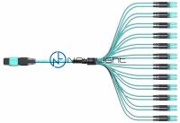 1300nm 24 homem do cabo da fibra MPO MTP ou perda de inserção fêmea 0.5dB