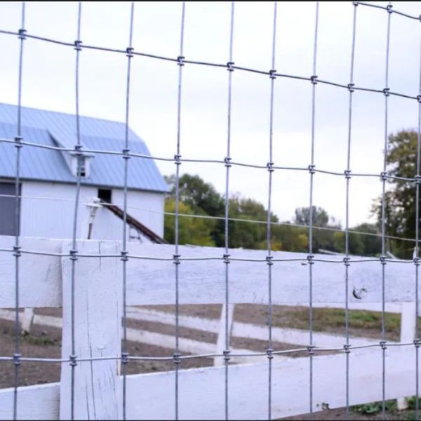 Hot Dipped Galvanized Woven Wire Mesh Fence 0.8m to 2.4m Height with Hinge Joint Knot for Farm and Stock Fencing