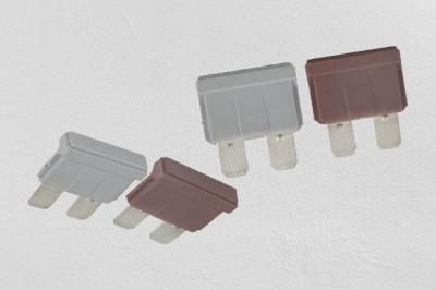 Ceramic 1 Amp Fast Blow Fuse 58VDC Rated Voltage UL248 Standard