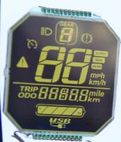Display LCD de 7 segmentos Modulo LCD FSTN Display LCD