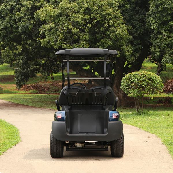 Affordable 2 Seaters Electric Golf Cart With Lithium Battery