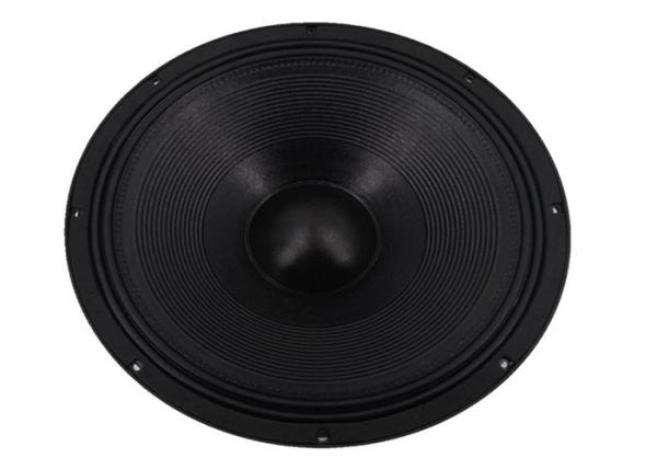 21 Inch PA Coaxial Loudspeaker