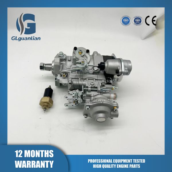 High quality VE Fuel Injection Pump 0460424125 99442433 for Ive-co