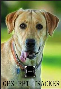 2017 worlds smallest waterproof pet gps tracker