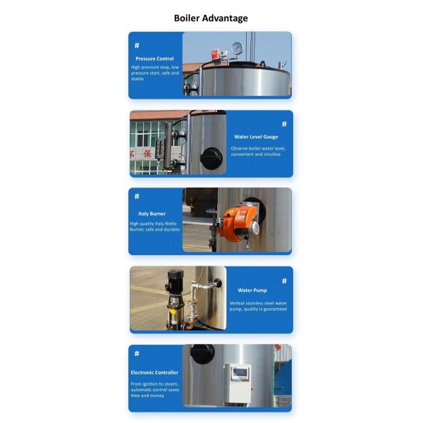 LHS Vertical Fuel Gas Steam Generator