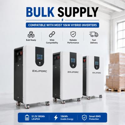 Wall Mounted 51.2V LFP Home Energy Storage Battery 10kWh/15kWh/20kWh