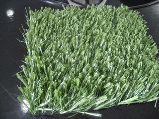 Outdoor Football Artificial Dark Green Grass Sports Field Turf 3 / 4'' Gauge ,  And CE