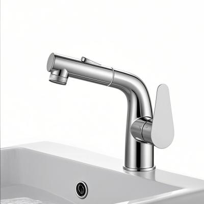 Stainless Steel Single Handle Basin Faucet Pull Out Taps Polished