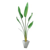 O assoalho em pasta artificial amigável de Eco planta o ornamento dos bonsais da palma da banana do viajante do plutônio