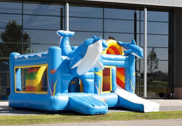 Matériel durable de PVC de dauphin de partie de château de Chambre bleue célèbre de rebond