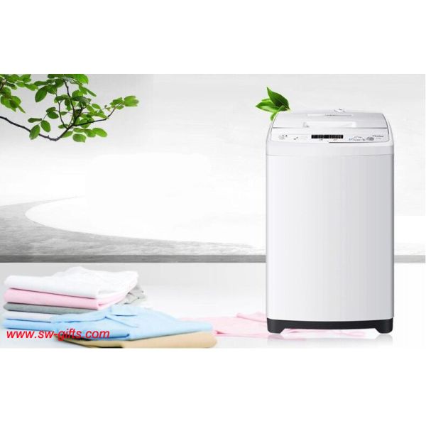 Automatic Stainless Steel Mini Washing Machine for Home Quick Wash Home Appliances
