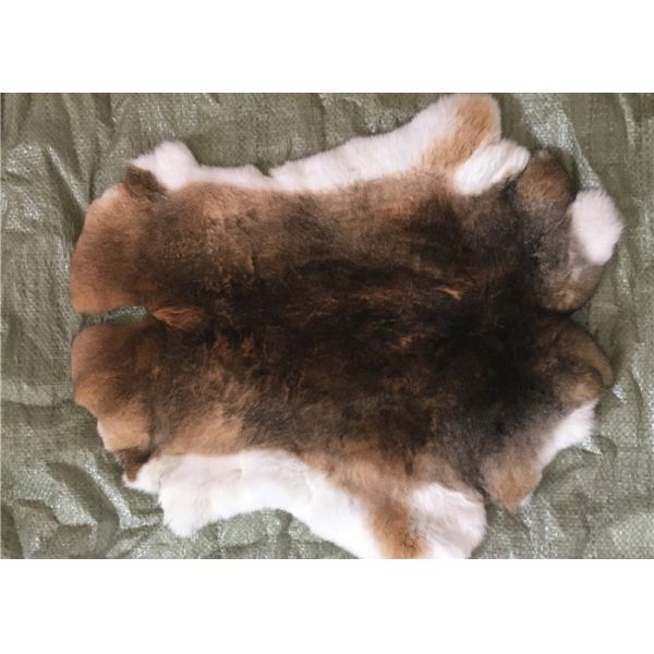 Capa que alinea la densidad pesada mullida suave real de Rex de la piel entera del conejo para el invierno